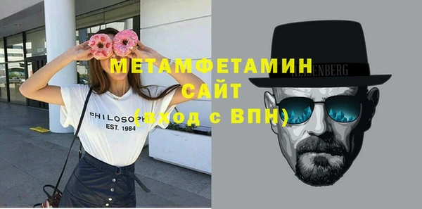 индика Белая Холуница