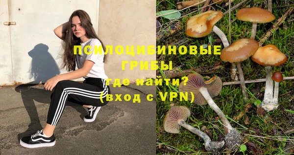 MESCALINE Гусь-Хрустальный