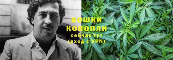 метадон Гусев