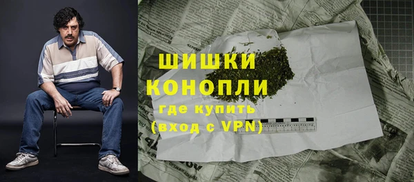 индика Белая Холуница