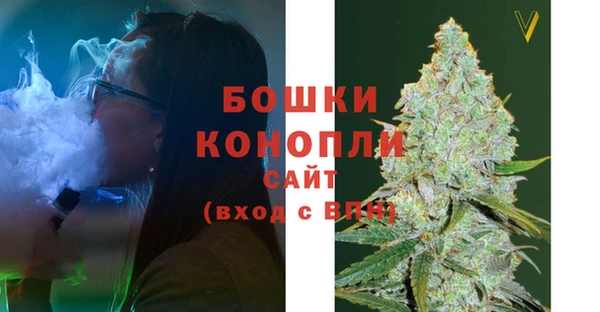 метадон Гусев