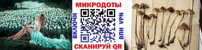 Галлюциногенные грибы прущие грибы  Купить закладки  Новоульяновск 
